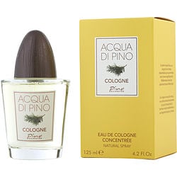 Acqua Di Pino By Pino Silvestre Eau De Cologne Concentree Spray 4.2 Oz